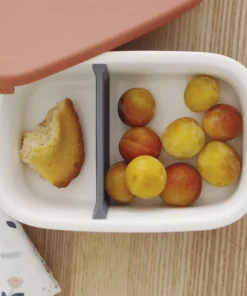 Outlet Lunch Box Ceramique Mineral / Terracotta Goûter Sain
