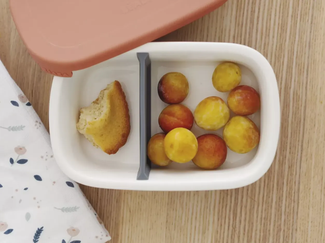 Outlet Lunch Box Ceramique Mineral / Terracotta Goûter Sain
